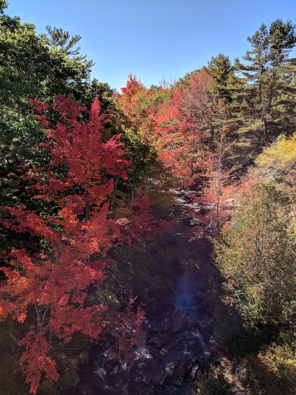 Fall in Acadia