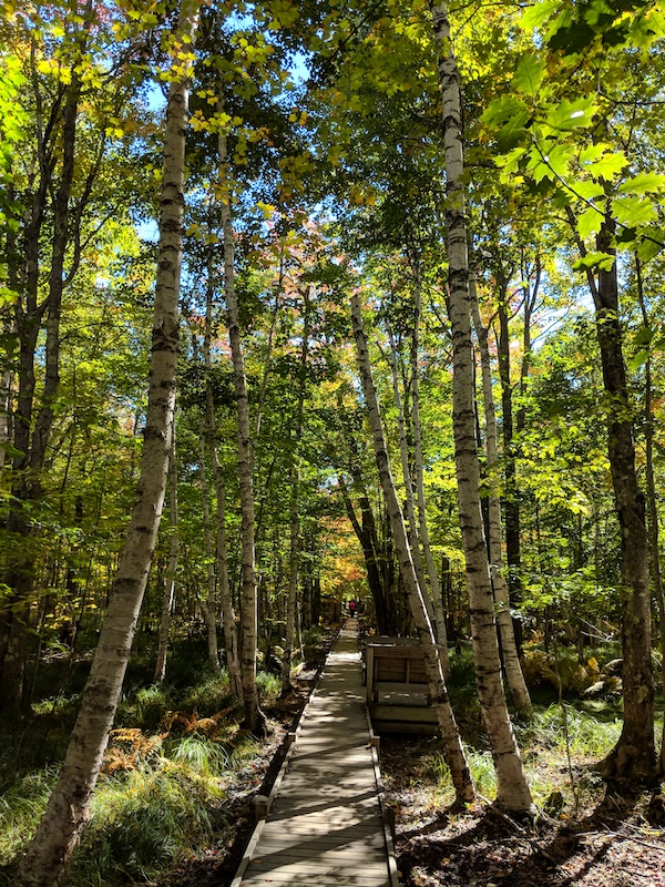 Jesup Trail
