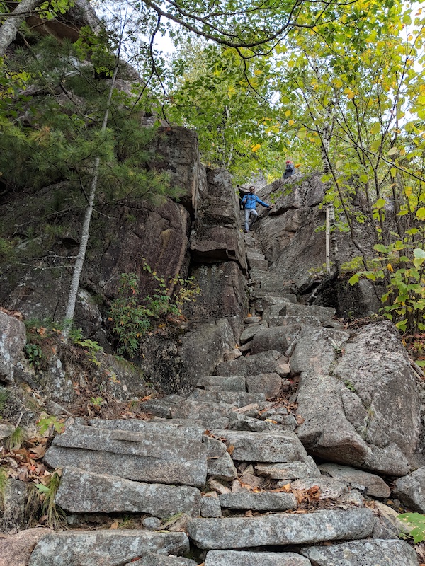 Orange and Black Trail