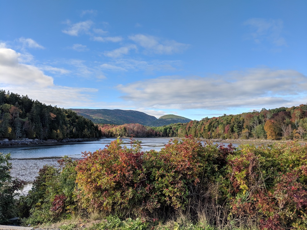 Sight from the Park Loop Road