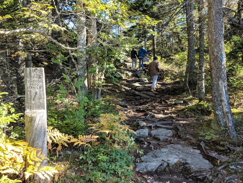 Trails to Schoodic Head