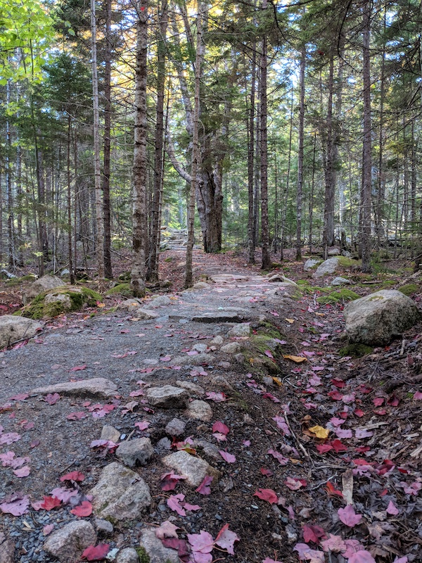 Fall in Acadia