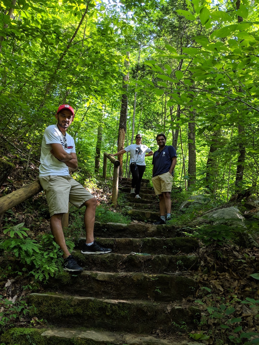 Trail of the Trees