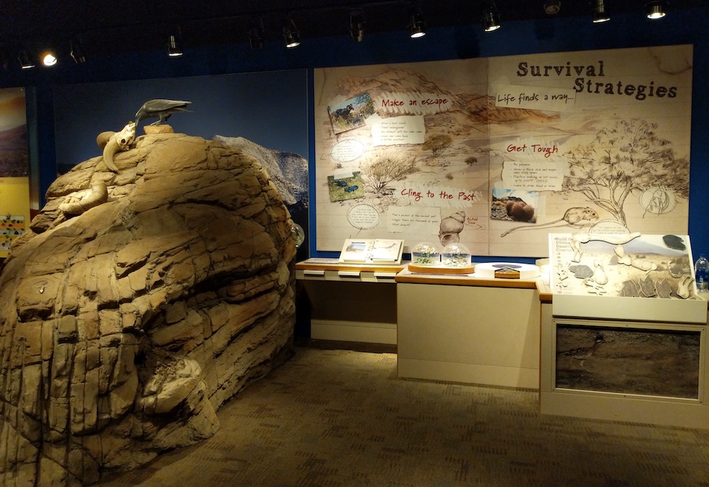Exhibit at Furnace Creek Visitor Center