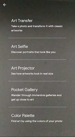 Google Arts and Culture App