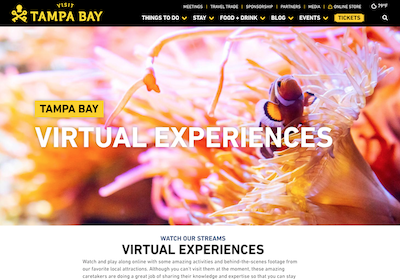 Virtual Experiences Page on Tampa Bay's Official Website